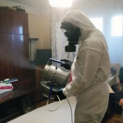 Дезинфекция от клопов Линёво