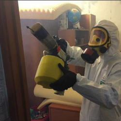 Уничтожение клопов в квартире. Линёво